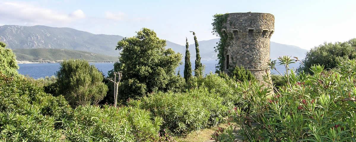 Turm im Golf von Valinco