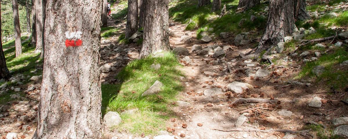 Wanderweg im Bavellatal