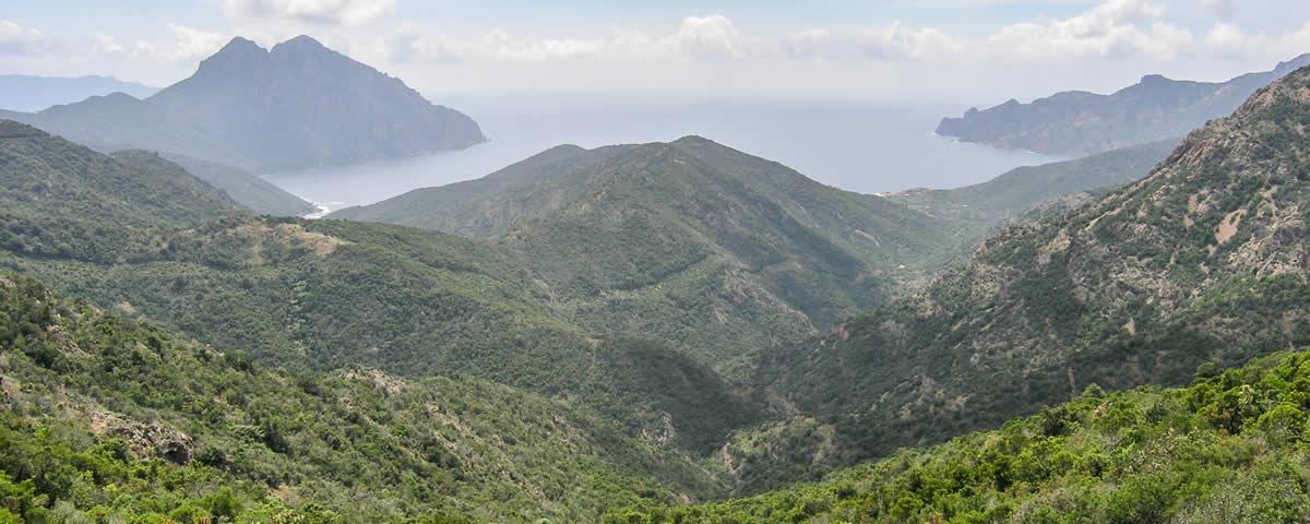 Westküste bei Girolata