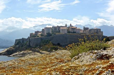 Calvi