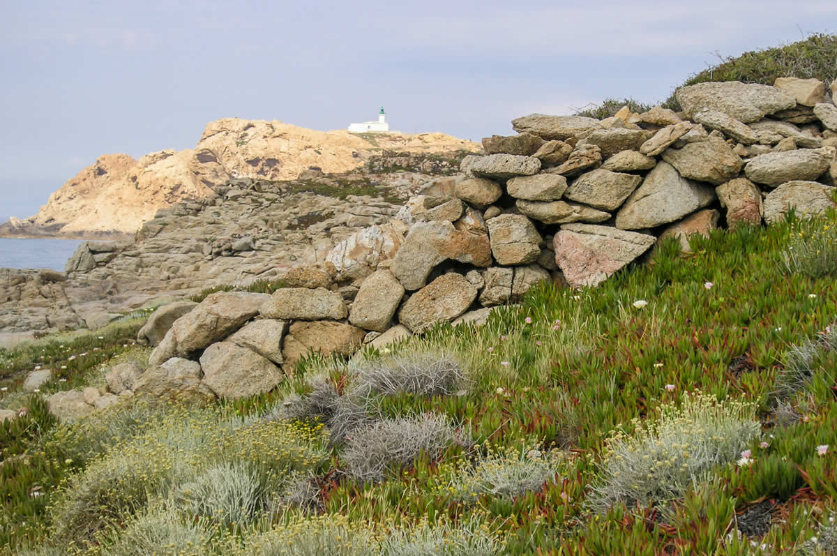 Leuchtturm von Ile Rousse auf Küstenwanderung