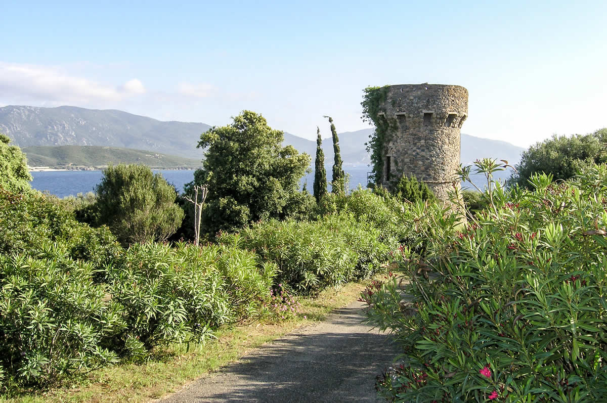 Turm im Golf von Valinco