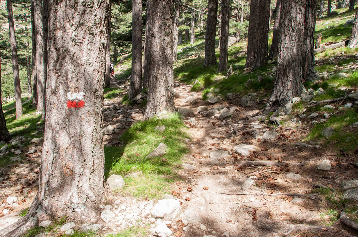 Wanderweg im Bavellatal