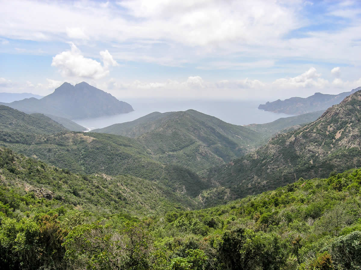 Westküste bei Girolata